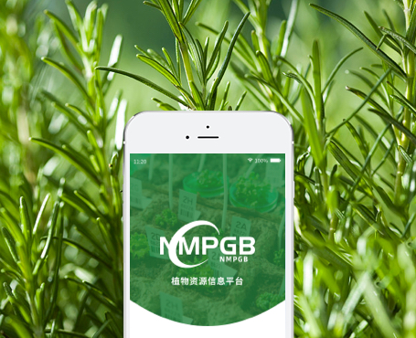 藥植所-植物資源信息平臺APP|一網(wǎng)天行-網(wǎng)站建設小程序APP系統(tǒng)軟件開發(fā)公司